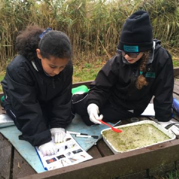 Year 6 Nature Reserve Trip